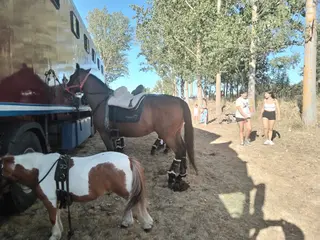 Exhibición ecuestre en San Pedro de Zamudia (16)
