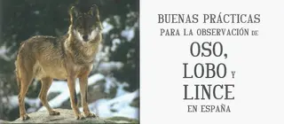 Editado un manual de buenas prácticas para la observación del lobo
