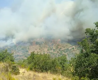 Imagen del incendio 