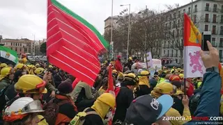 IU pide que la Junta mejore las condiciones de trabajo de los bomberos forestales y que reconozca esa categoría profesional