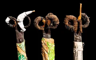 Una imagen de la muestra. MECyL