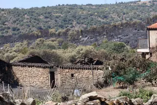 El paisaje de la zona tras el paso del fuego en el incendio de Fermoselle