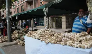 Inauguración Feria del Ajo San Pedro 2017