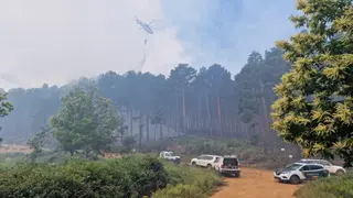 Incendio sierra culebra