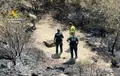 El Seprona de la Guardia Civil investiga las causas del incendio de Fermoselle