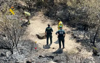 El Seprona de la Guardia Civil investiga las causas del incendio de Fermoselle