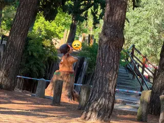 El artista pide respeto para una escultura de madera en el Bosque de Valorio 