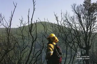 Agente medioambiental. Foto de archivo.