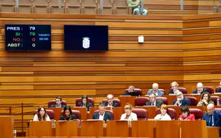 Momento de la votación unánime para la proposición no de ley sobre la salud mental en las Cortes | Ical