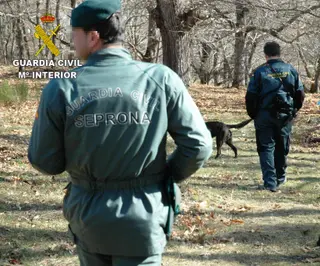 Las imágenes del operativo de búsqueda de Sanabria