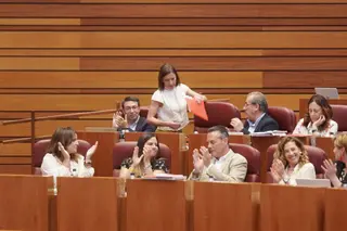 Rubén Cacho ICAL. El Grupo Socialista aplaude la intervención de la procuradora Laura Pelegrina tras su intervención en el Pleno de las Cortes de Castilla y León