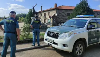 Seprona en Villardeciervos
