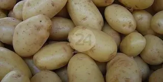 Patatas. Archivo