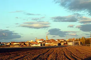 Manganeses de la Lampreana