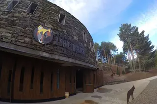 Imagen del Centro del Lobo Ibérico