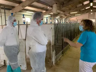 La Diputación anuncia mejoras en el Centro de Inseminación Porcina