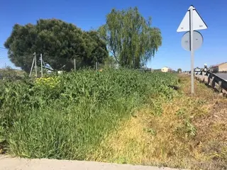 Fotos denuncia del barrio de Villagodio