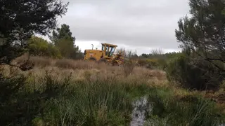 Denuncian la destrucción de un tramo de la tradicional Cañada Real en Zamora para el tránsito de vehículos