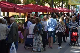 Mercado ecologico sep2017