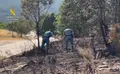 Detenido Un Hombre E Investigado Otro Como Autores De 15 Incendios En Zamora