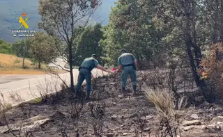 Detenido Un Hombre E Investigado Otro Como Autores De 15 Incendios En Zamora