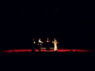 VÍDEO | La magia de Lorca pisa las tablas del Ramos Carrión a través del flamenco