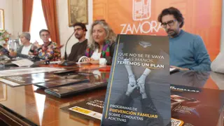 Plan Dyca Zamora