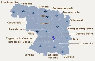 Sin título 2