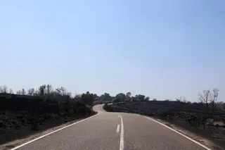 Imagen de la carretera hacia Fermoselle tras el incendio Foto: Alejandro Sardón 