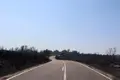 Imagen de la carretera hacia Fermoselle tras el incendio Foto: Alejandro Sardón