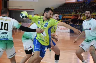 Guille anaitasuna