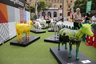 Fromago en Salamanca (31)
