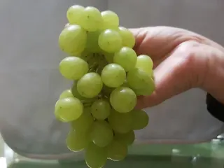 1520410