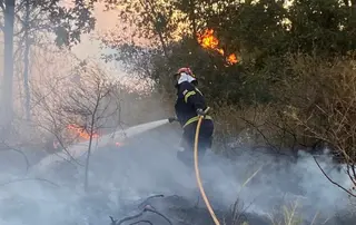 Incendio Rábano de Aliste