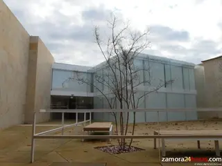 El Consejo Consultivo.Archivo