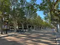 Paseos de la Mota de Benavente. ARCHIVO