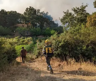 Incendio en Carbajales de Alba. Archivo