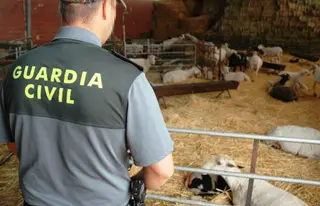La Guardia Civi en una explotación ganadera