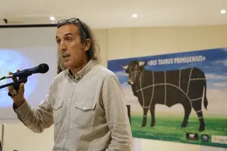 ‘Bos Taurus Primigenius’: la selección de la selección