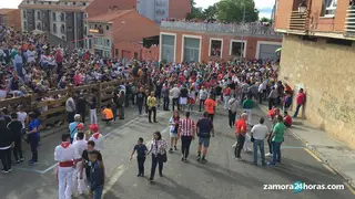 Toro Enmaromado 2019. Fotos: María Lorenzo