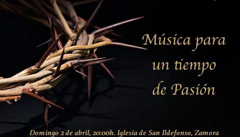Coro de San Ildefonso