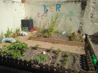 Finaliza el programa de Huertos Escolares con la participación de 1.239 escolares de 13 centros