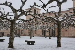 GALERÍA | Nieve en Zamora capital este miércoles | Alejandro Sardón