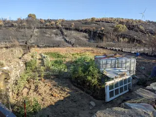 Las heridas del fuego en Losacio
