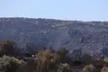 La devastación que deja el incendio de Fermoselle