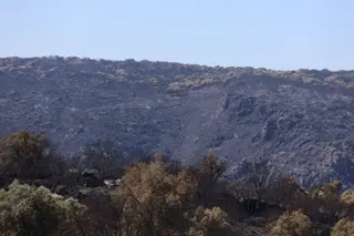 La devastación que deja el incendio de Fermoselle