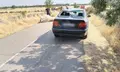 Accidente de un turismo con una vaca en la carretera entre Bermillo de Sayago y Fresnadillo
