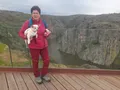 Dominga López Asume La Presidencia De La Asociación Zamorana De Los Caminos De Santiago