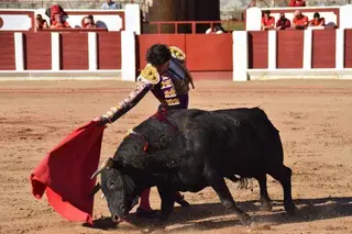 Corrida de toros. Archivo