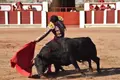 Corrida de toros. Archivo